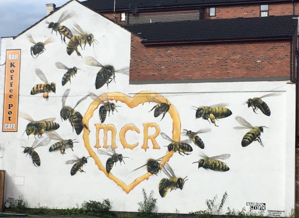 ManchesterBees
