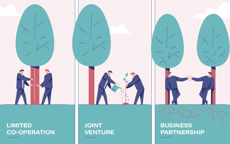 joint-venture-advantages