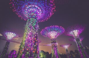 E-sign Laws: Singapore
