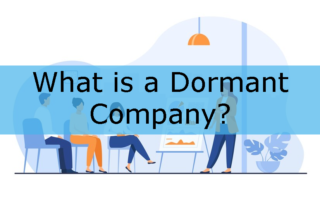 how to make company a dormant