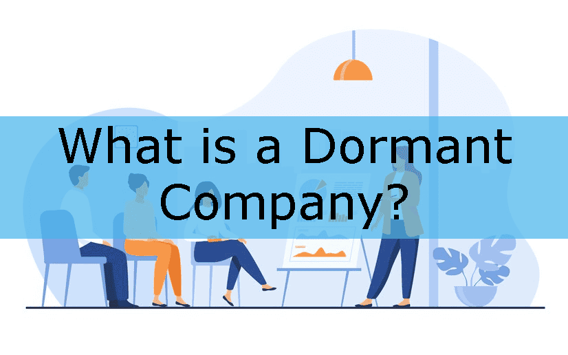 How to make a company dormant?